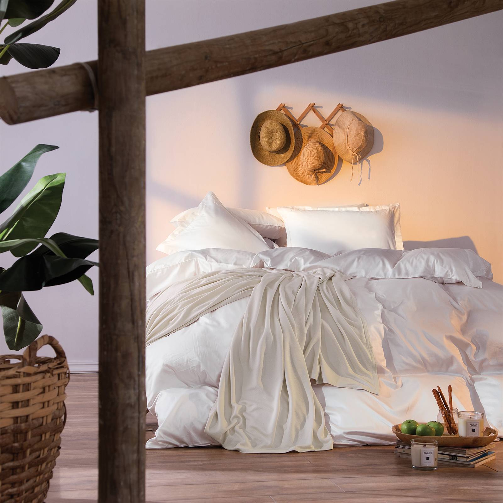 Main Image for PENELOPE