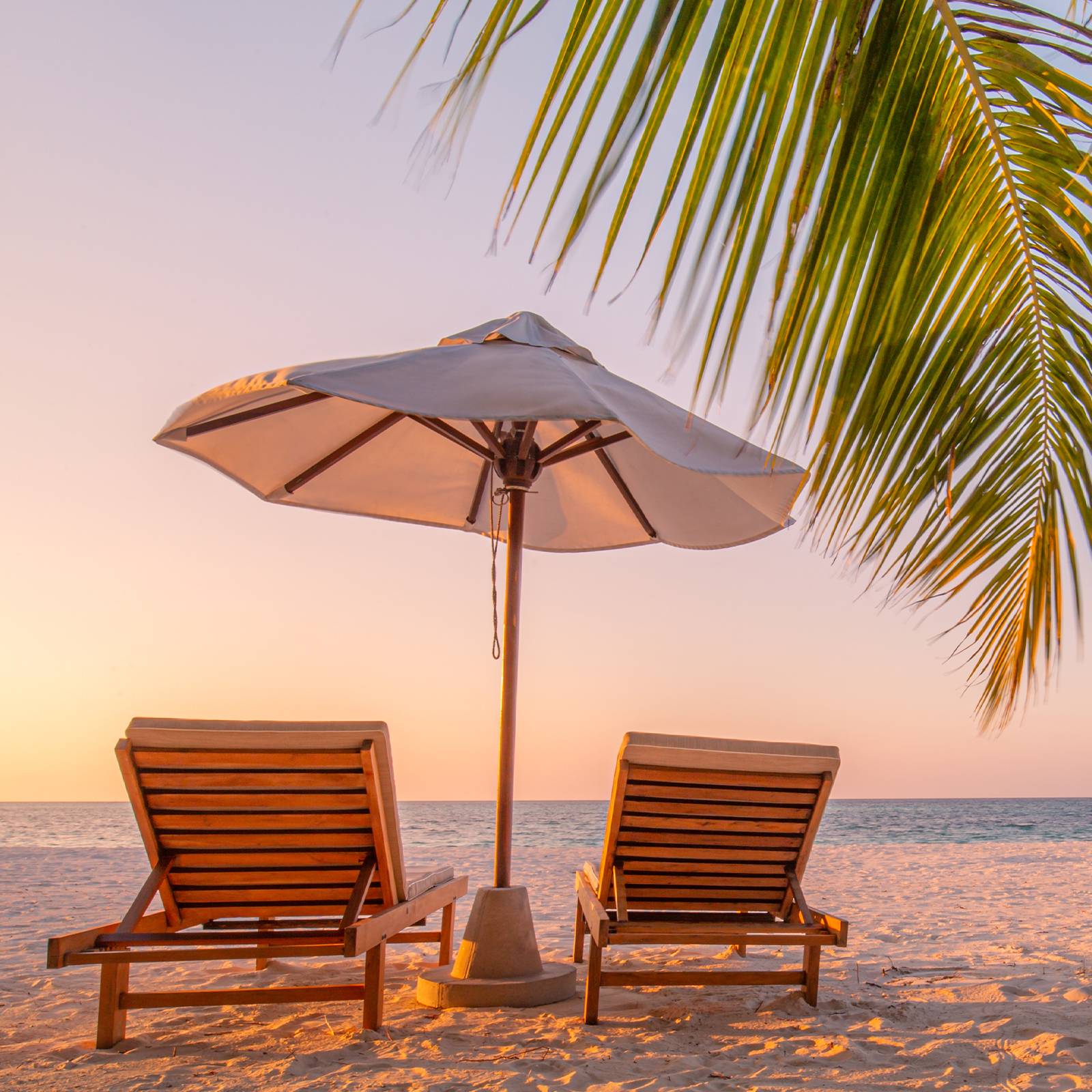 Main Image for JOLLY TUR