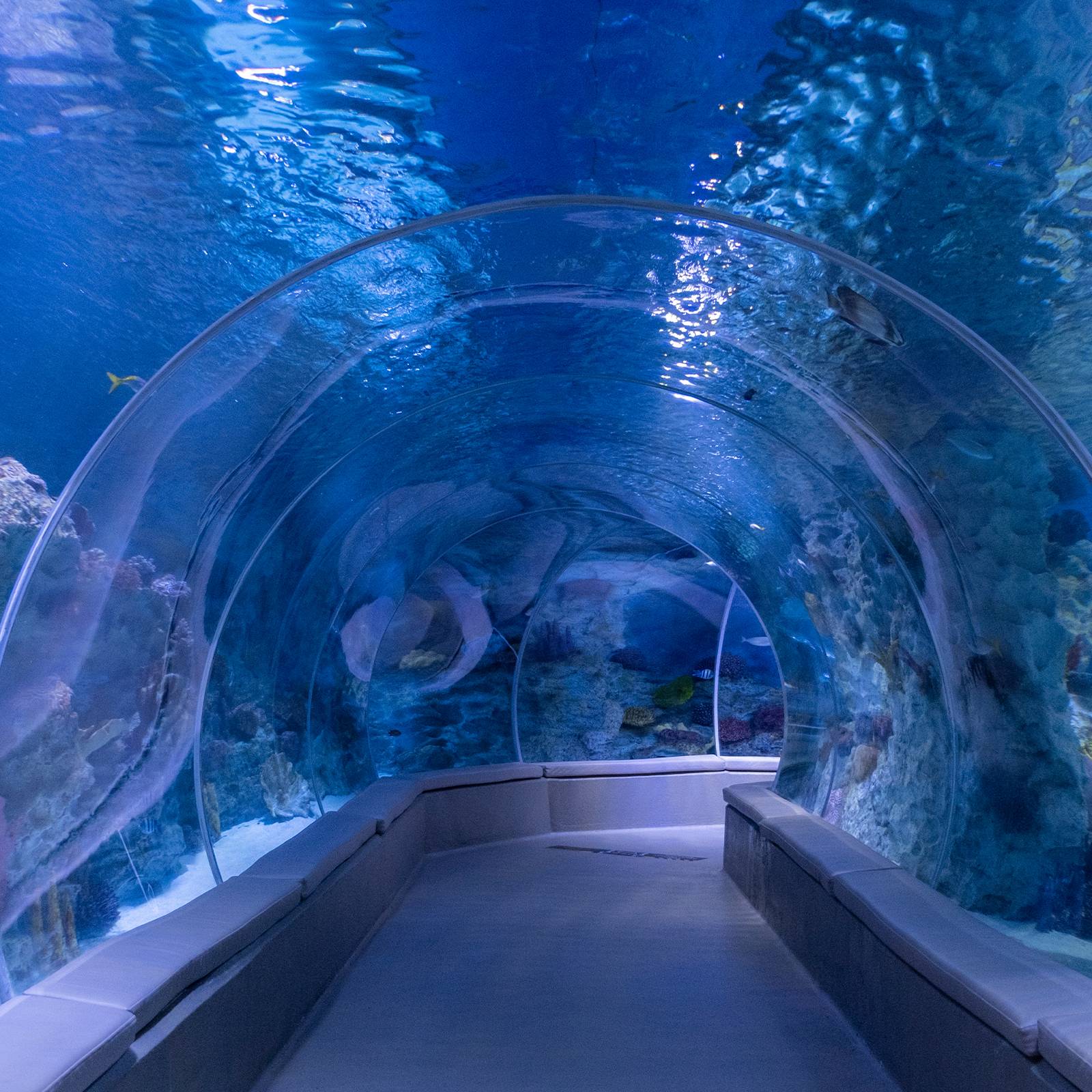 EMAAR AKVARYUM VE SUALTI HAYVANAT BAHÇESİ